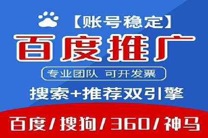 专业SEM托管：企业广告投放的明智之选