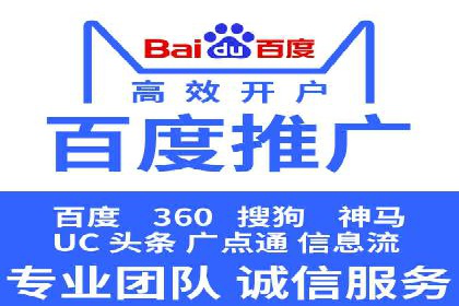 电商行业SEM运营的挑战与成功案例